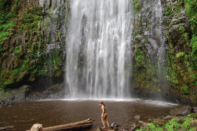 1 Day Moshi and Arusha Waterfalls, Coffee and Hot Springs Package